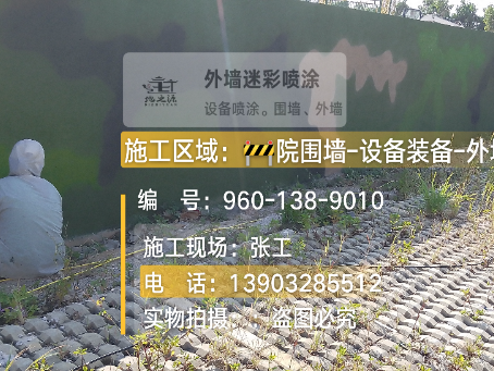 来宾外墙迷彩漆材料价约 45-60 元 /k