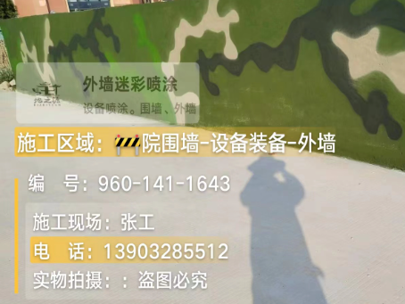 来宾 迷彩漆喷涂价格（按平方米计费）
